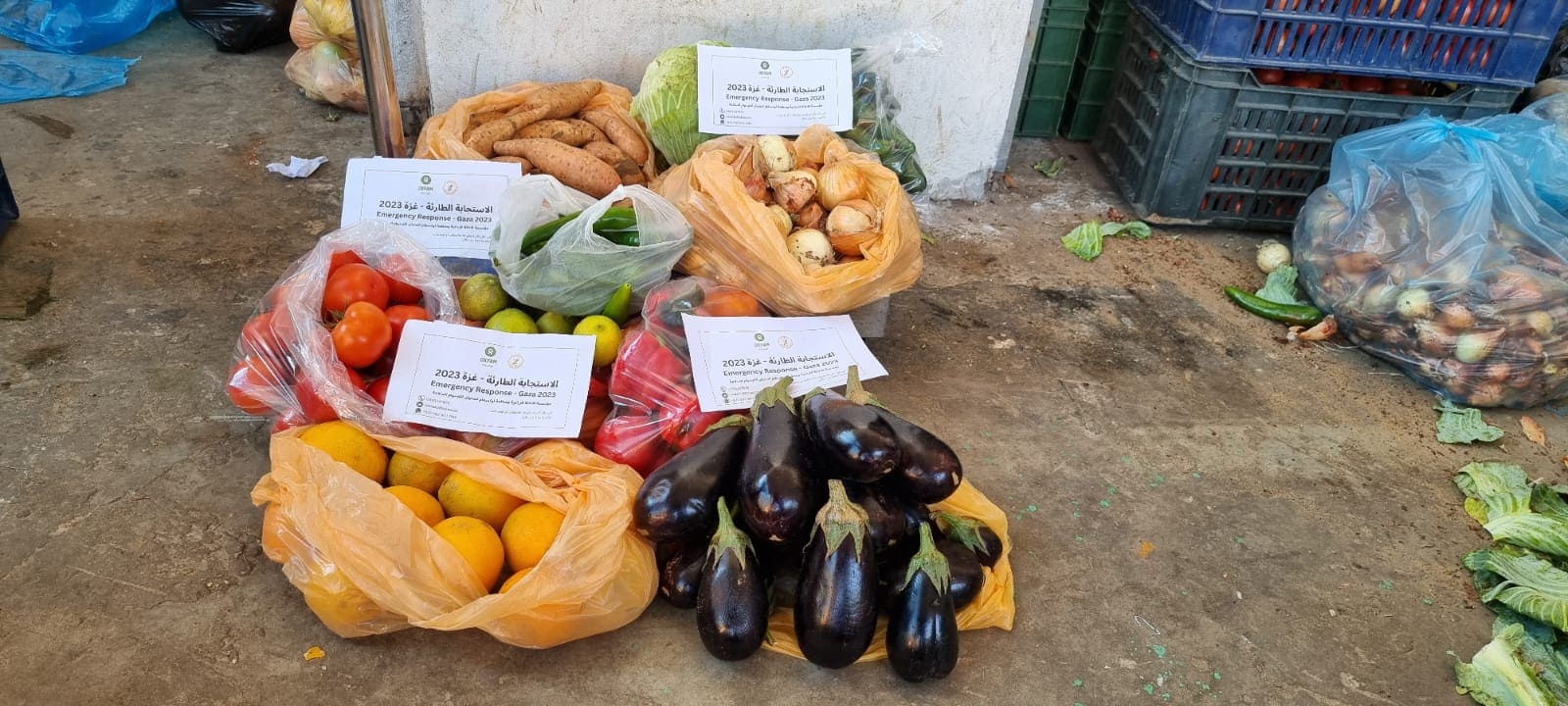 乐施会早前透过在地合作伙伴「the Palestinian Agricultural Relief Committee (PARC)」合作，向南加沙境内家庭派发蔬菜包。